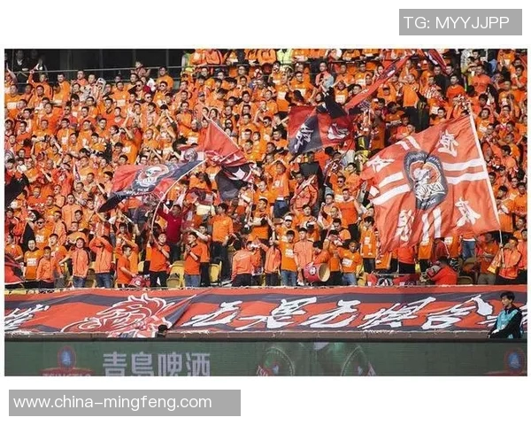 武汉网球队实力引发热议球迷对其表现的看法与争议分析