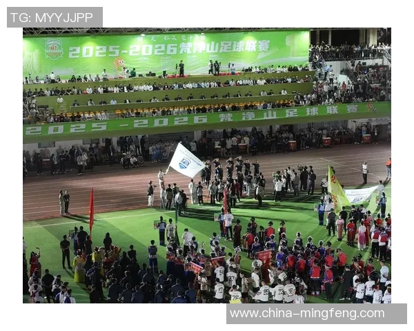 西安足球队的魅力与激情揭秘：一场关于梦想与团结的足球之旅