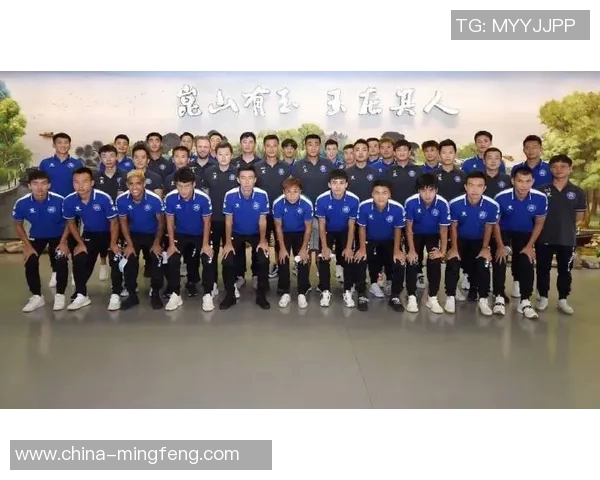 足球明星学历最低的背后故事与奋斗历程揭秘