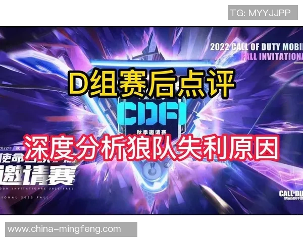 南京篮球队在奥运会上的团队协作表现分析与点评